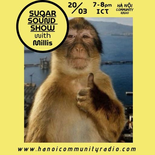 Sugar Sound Show w/ Millis