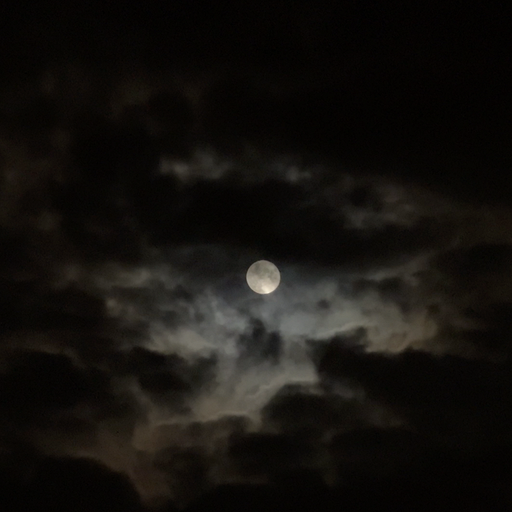 PAVEL MILYAKOV - 6th April 2026