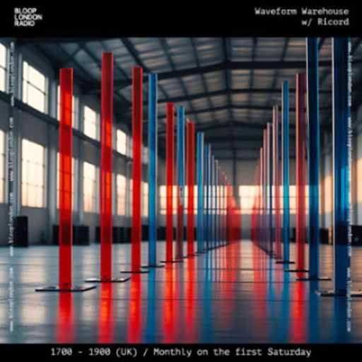 Waveform Warehouse w/ Ricord - 01.11.25