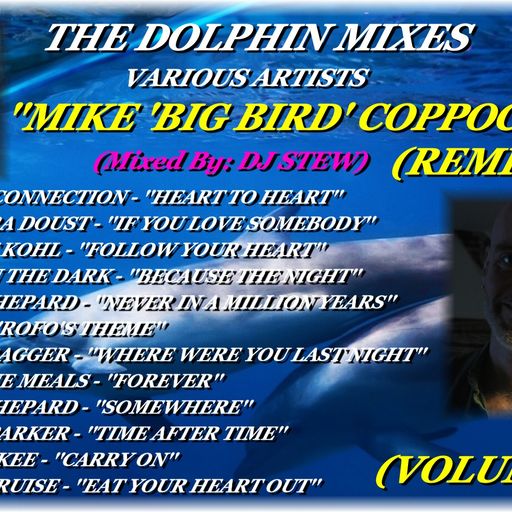 THE DOLPHIN MIXES - VARIOUS ARTISTS - ''MIKE 'BIG BIRD' COPPOCK'' (REMIXES) (VOLUME 1)