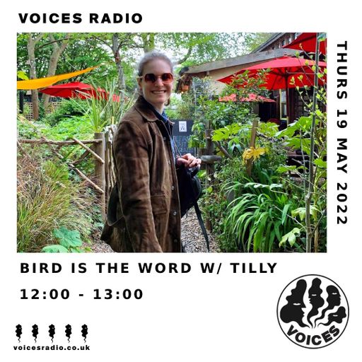 Bird Is The Word w/ Tilly - 19/05/22