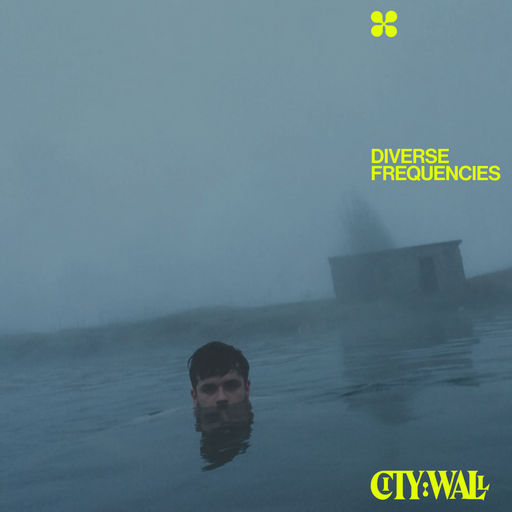 Diverse Frequencies w/ Megzbow & Vinegar Tom - November 2023