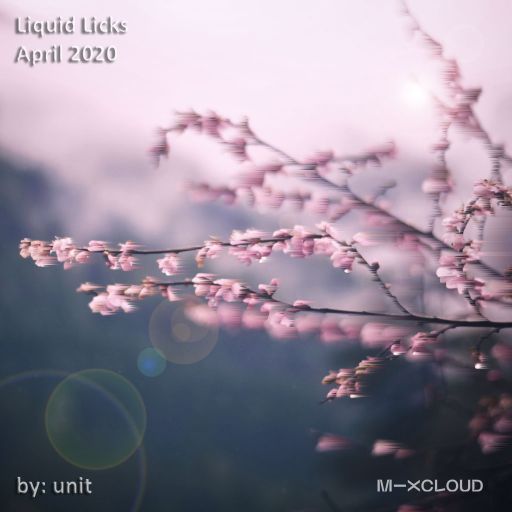 Liquid Licks - April 2020