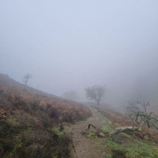 80s Rampwalk - 11th March 2026