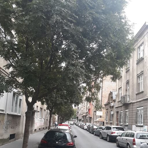 Poslednji dan leta u Drinčićevoj