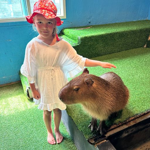 Emily's verjaardagsmix 8 jaar