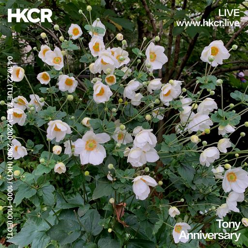 Tony: Anniversary - 04/10/2022