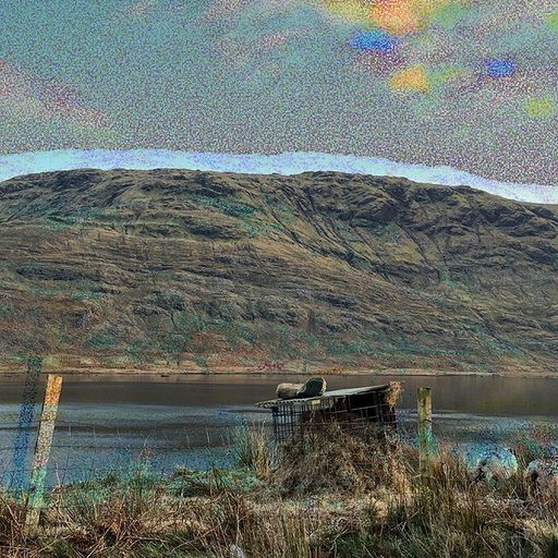 ROOTS OF RESILIENCE W/ CATHY GROGAN - 12th October 2025