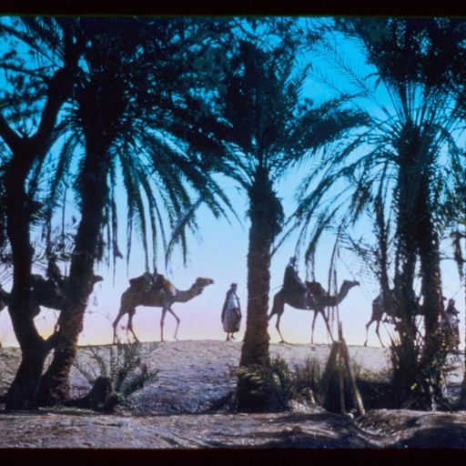 150 Session - PACO - 14th March 2026