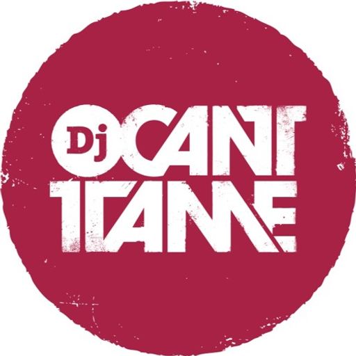 DJ Cant Tame - 90s Groovy Hip-Hop and R&B Mix