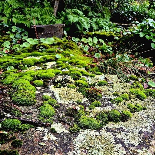 Gathering Moss W/ Zarate - 10th April 2026
