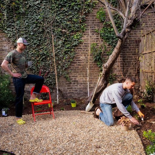 Sweet Tooth w/ Alfie Whiteman - 24th January 2026