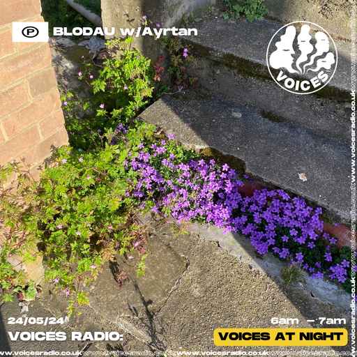 Blodau w/Ayrtan - 23/05/24 - [Voices Radio]