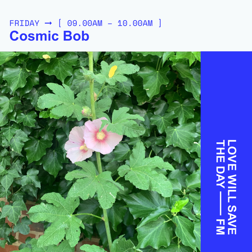 2025-06-20 Cosmic Bob | LWSTD-FM