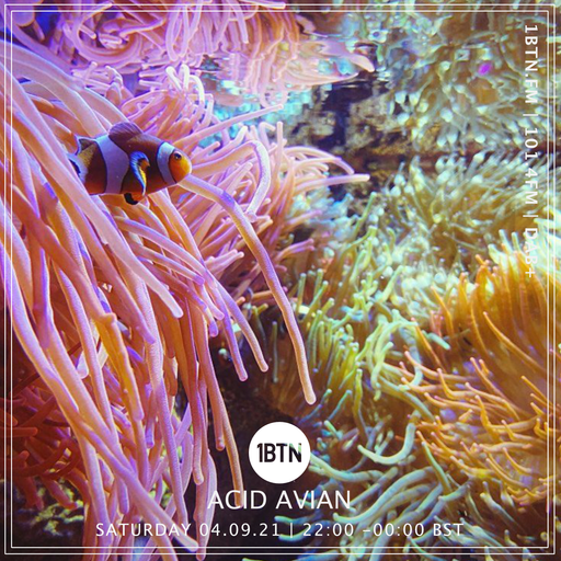 Acid Avian - 04.09.2021