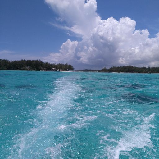 DREADheadz 10 LIF DUB´n´Reggae vom 6.5.2025