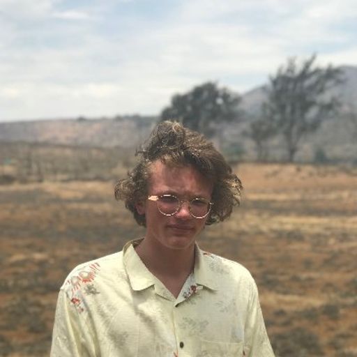 THE MUSIC OF WALLACE LEOPARD - PART ONE [Bedroom Tapes Mix 2017-2020 - Wave Folk Pop Lo-Fi Blues]