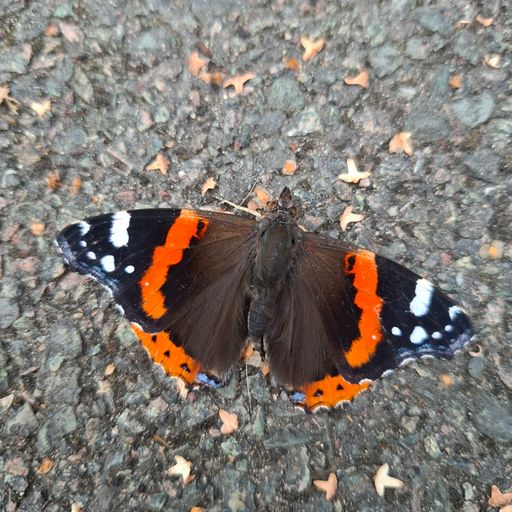 Progressive House. The wilderness years.