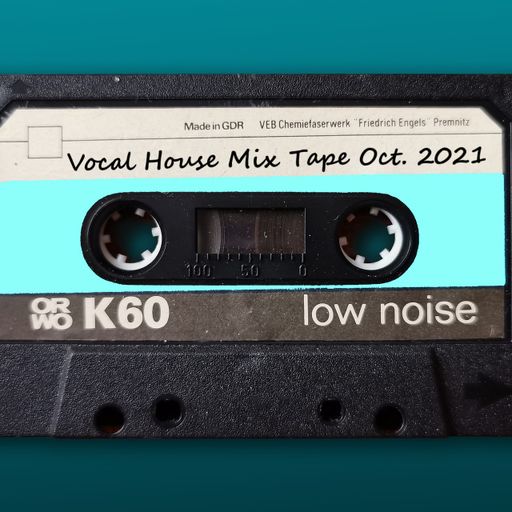 Nothing but Vocal House by DiscoInjection October 2021
