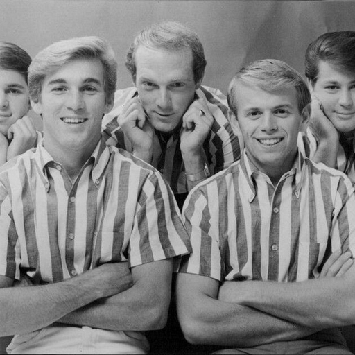 Image Search - Beach Boys Demos - 10th April 2025