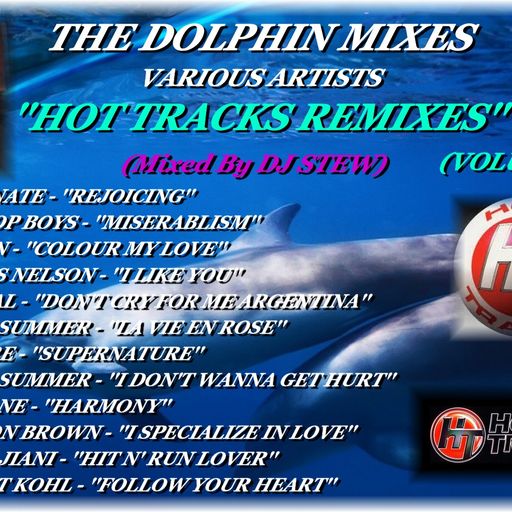 THE DOLPHIN MIXES - VARIOUS ARTISTS - ''HOT TRACKS REMIXES'' (VOLUME 15)