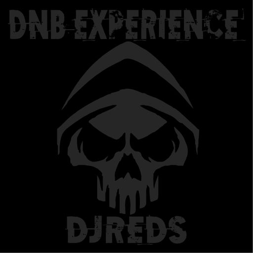 dnb experience 02102021 .