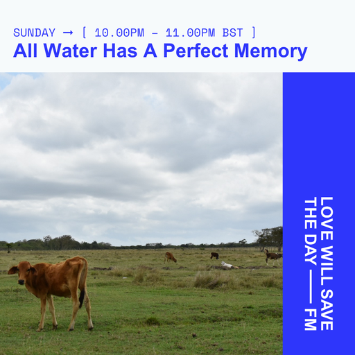 2024-05-19 All Water Has A Perfect Memory | LWSTD-FM