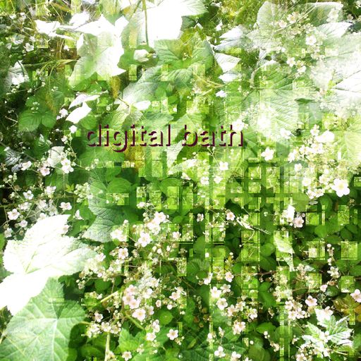 Digital Bath (09.17.23)