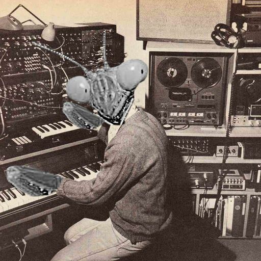 Wayan's Mantis Hour - December 2022