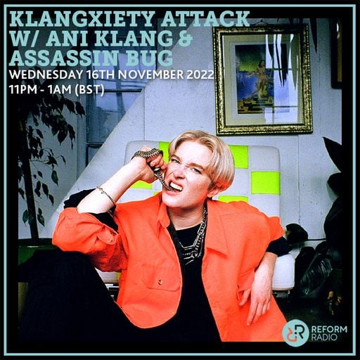 Klangxiety Attack w/ Ani Klang & Assassin Bug 16th November 2022