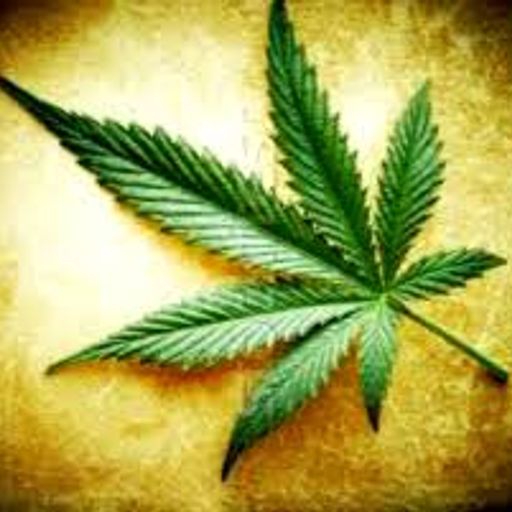 High Society (Lounge&NuJazz)