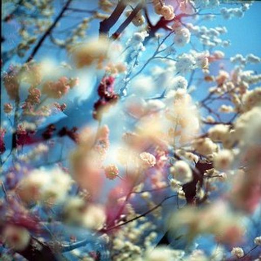 Eric Cloutier - Seed 010 Promo Mix, 2010