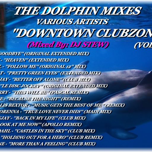 THE DOLPHIN MIXES - VARIOUS ARTISTS - ''DOWNTOWN CLUBZONE'' (VOLUME 7)