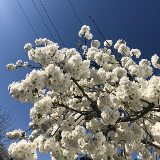 Let The Sunshine In: Poly-Ritmo // 04-03-26