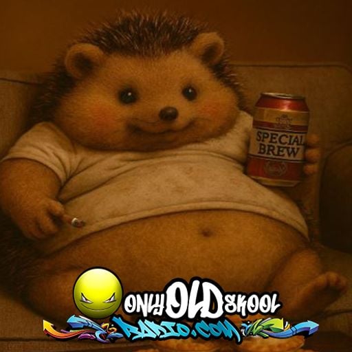 DJ Hedgehog - Too Many Mince Pies - Friday 9th January 2026 - OnlyOldSkoolRadio.com