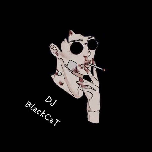【Boom+BlaBlaBla+Polizei ️Feel My Bass ️ Church Of Hell】NonStop Remix By DJ BlackCaT 2K!9 !