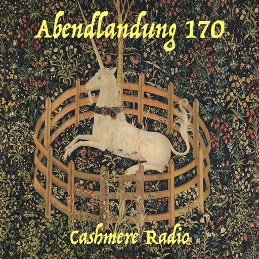 Abendlandung # 170 - Bunte Mischung 15.09.2025
