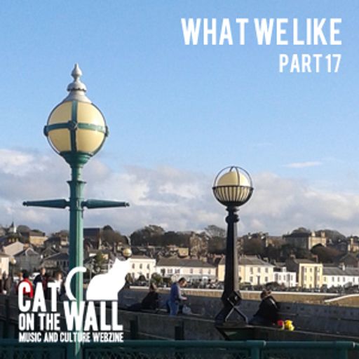 What We Like Part 17