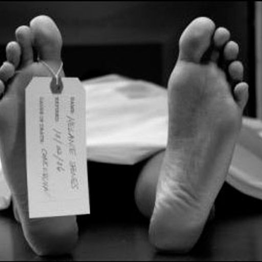 solipsistic NATION No. 22: Quietus