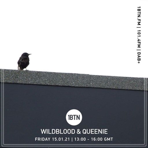 The Wildblood & Queenie Show - 15.01.2021