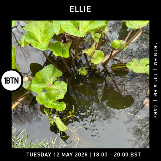 Ellie -12.05.26