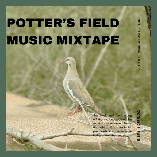 S1E1, December 29, 2024