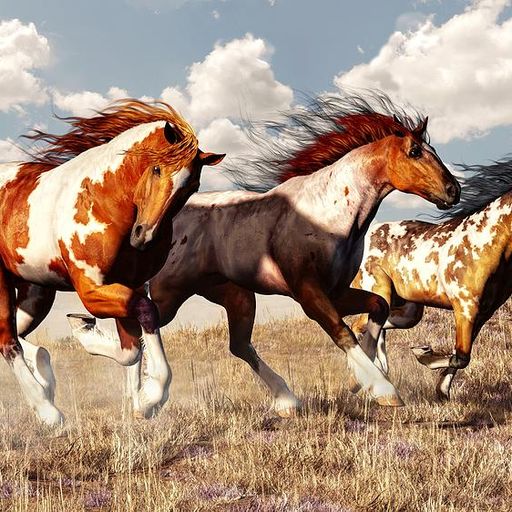Galloping by Dad Shoes and Poenado