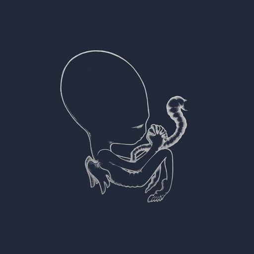 Classic Album Sundays: Sigur Rós // 26-08-2018