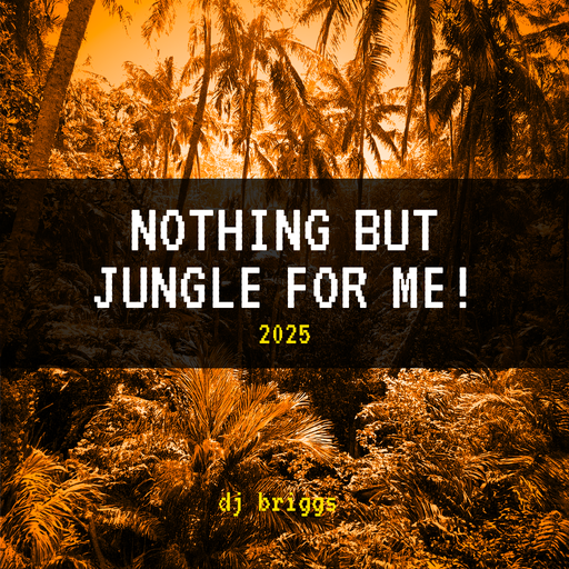 Jungle 2025 B