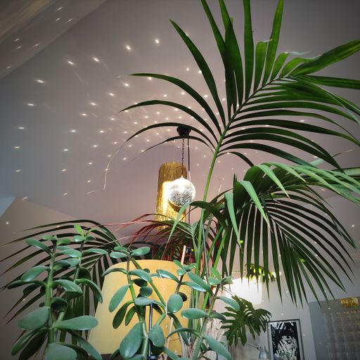 Keri's Kitchen 674FM 19.06.2023 : (Keri) Y IN DUB