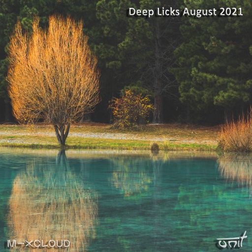 Deep Licks - August 2021