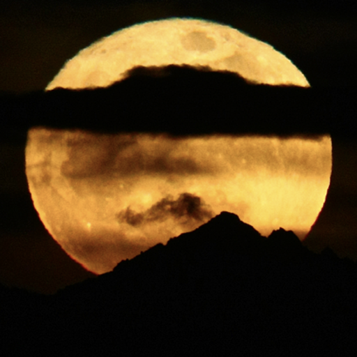 Capetown Groove (JazzFunk&EthnicFusion)