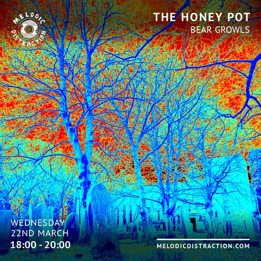 The Honey Pot with Bear Growls (March '23)