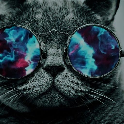 Party Peacock (SmoothFunk)